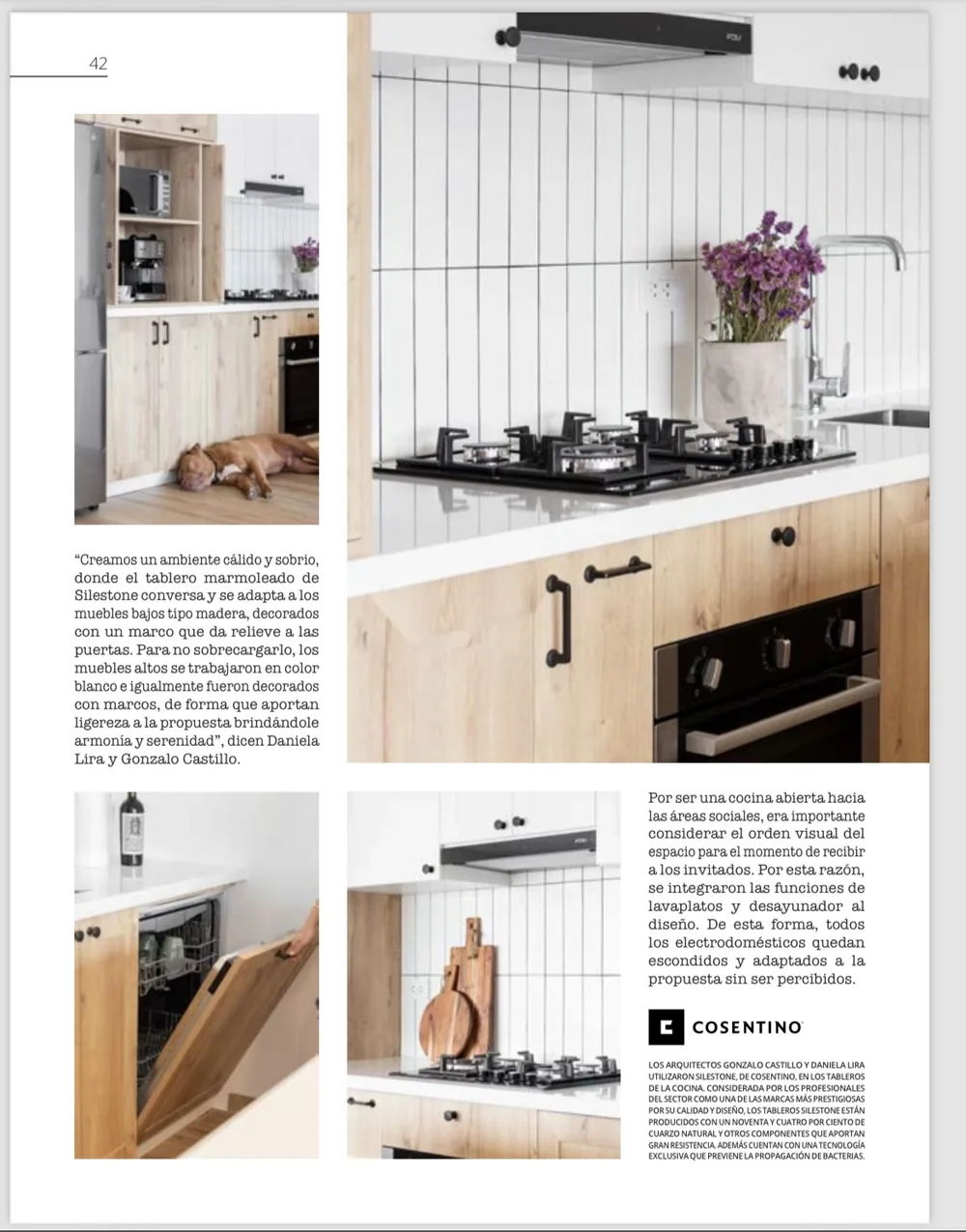 Revista D+